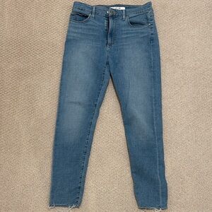 Joe's Jeans Women's Skinny Denim